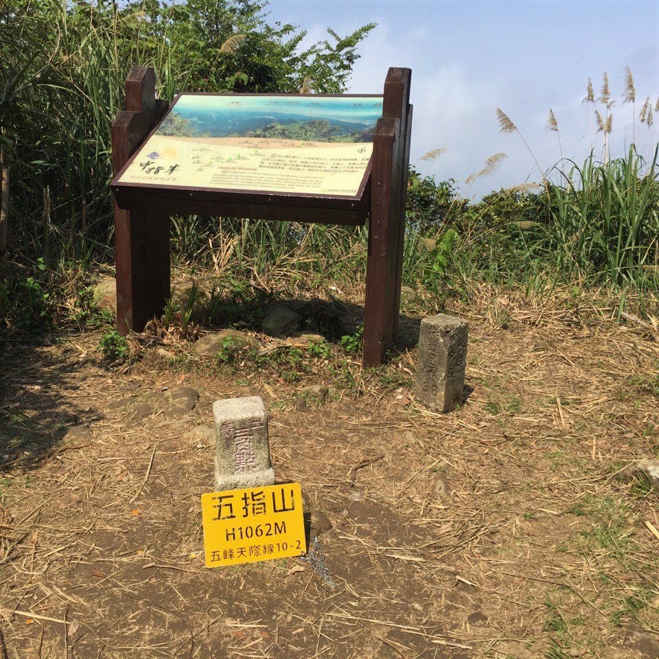 步道巡訪員│五指山步道三月巡訪日誌_872651