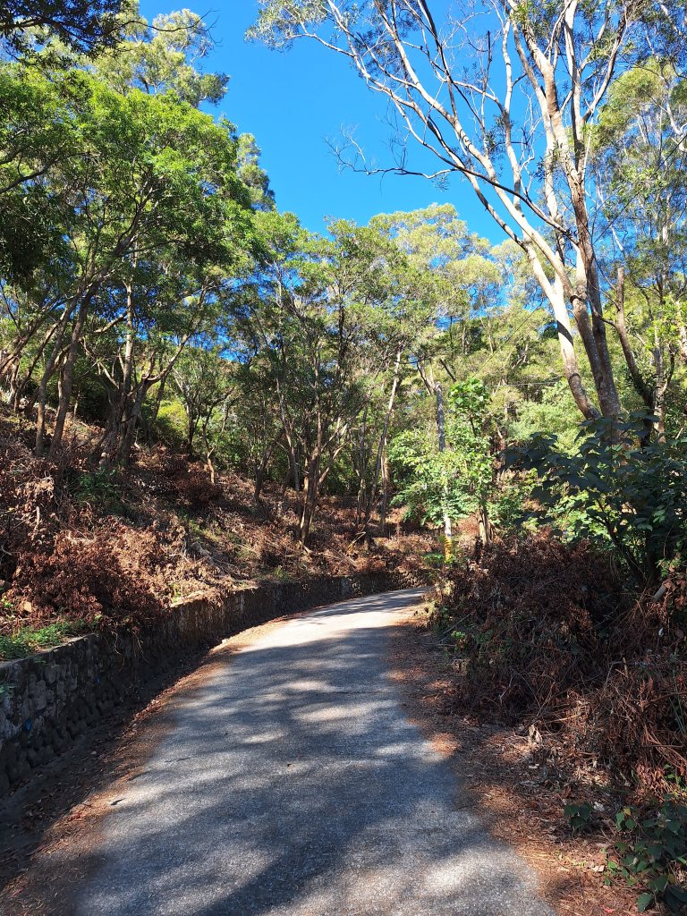 德文山(觀望山)20260105_2978634