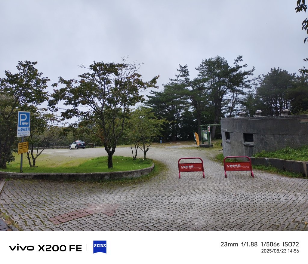 [玉山尋寶任務-05/12] 2025_0823 塔塔加步道(大鐵杉登山步道)_2869714