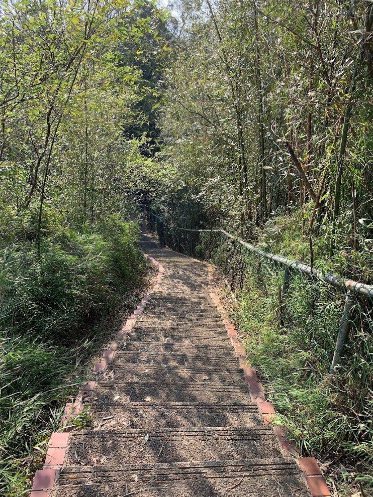 十二寮登山步道20230228_2045370