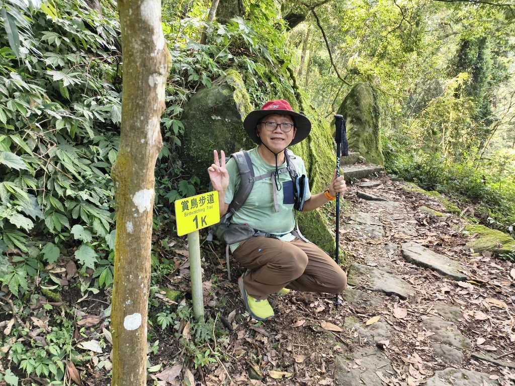[百山百鳥尋旅-05/15] 2025_0830 溪頭賞鳥步道_賞鳥步道封面圖