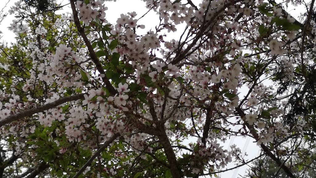 巴庫拉斯，七彩湖_1339057