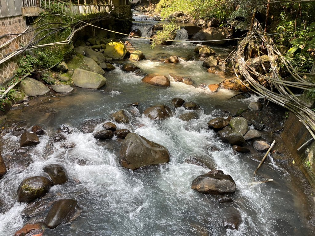 北投慢遊_2014538