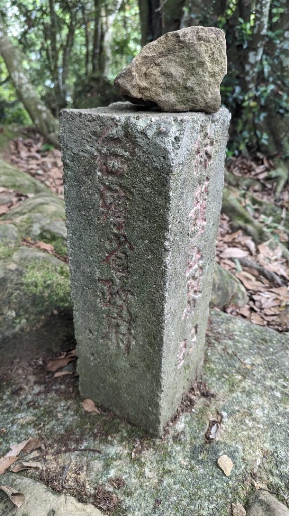 赤柯山 東獅頭山_2501629