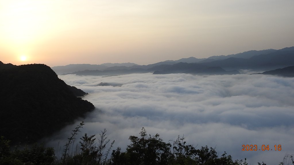 翡翠水庫壩頂(新店四十份)再見日出雲海+賞 #松月櫻 &桐花_2114880