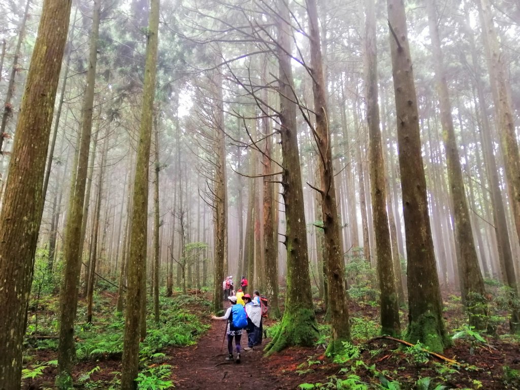 飆汗換挑戰。(高島縱走) 高台山x島田山_743950