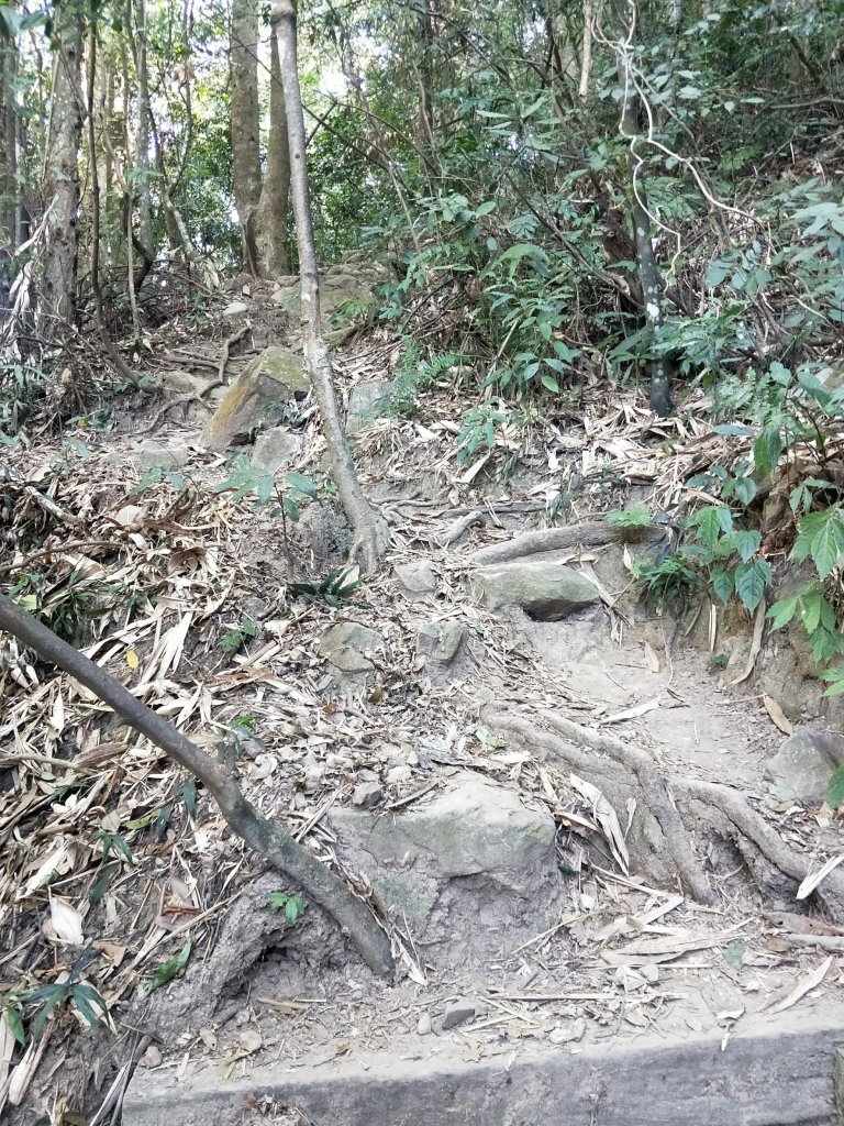 步道巡訪員│白毛山步道2月巡訪日誌_848081