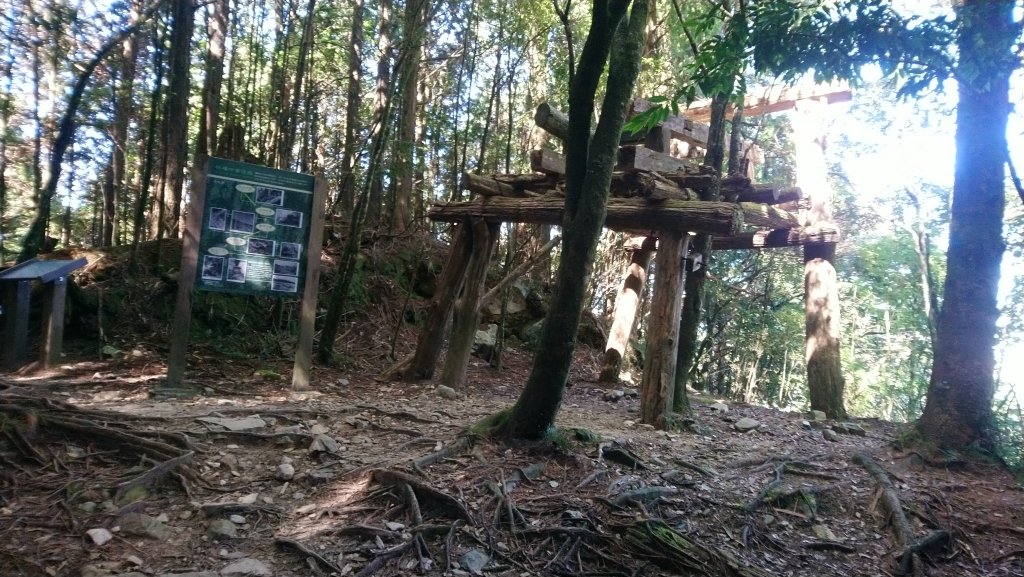 八仙山松鶴線_689854