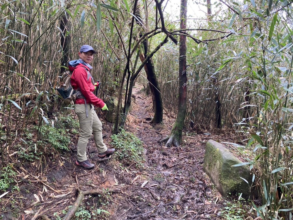 小觀音山群峰【當登山遇到惰性來襲時…】_2686380