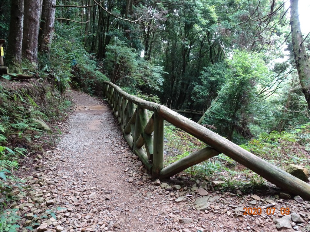 橫嶺山自然步道2020.07.09_1029065