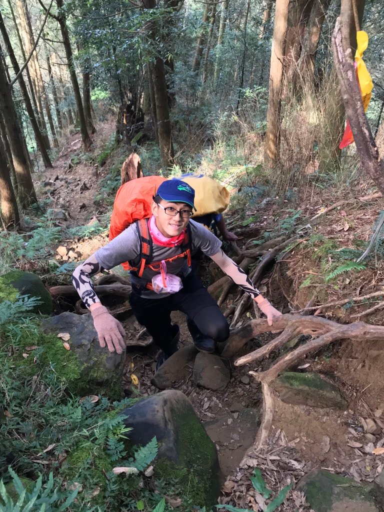 水樣森林 第一次在山裡過夜_659476