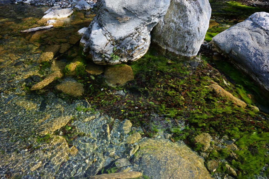 【500】【再訪能高安東軍】_2112735