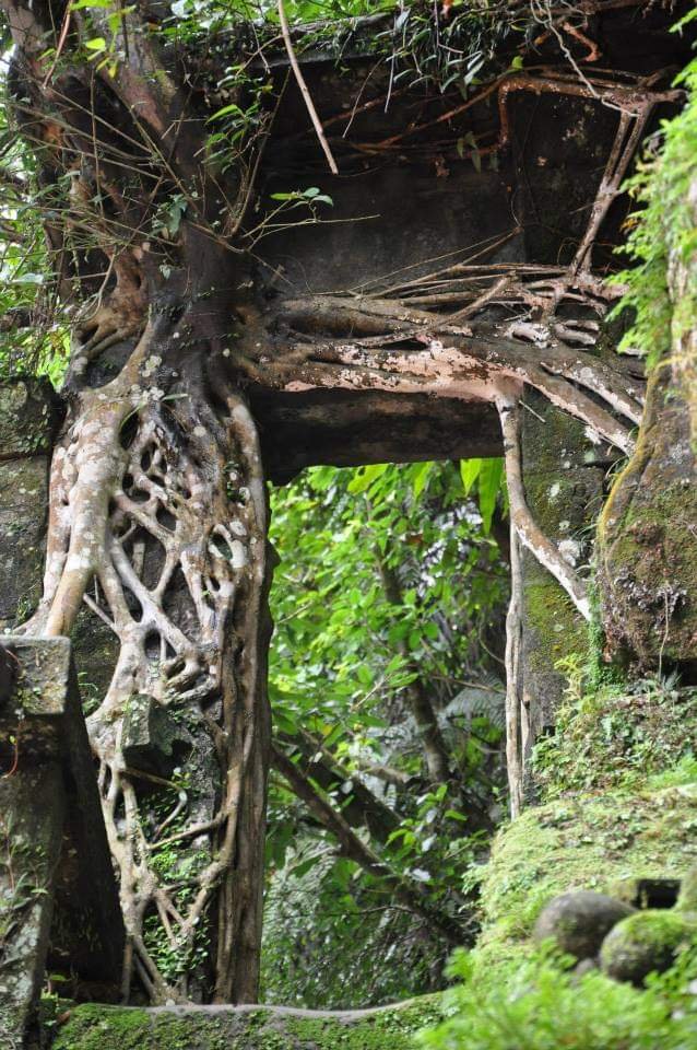 〔石碇〕烏塗溪古道 外按古道。昔日淡蘭古道南路之一段_2236035
