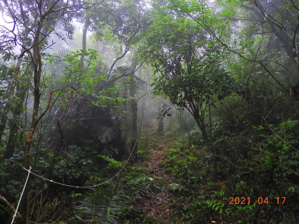 新北 坪林 東坑山、建牌崙山、梳妝樓山_1352011