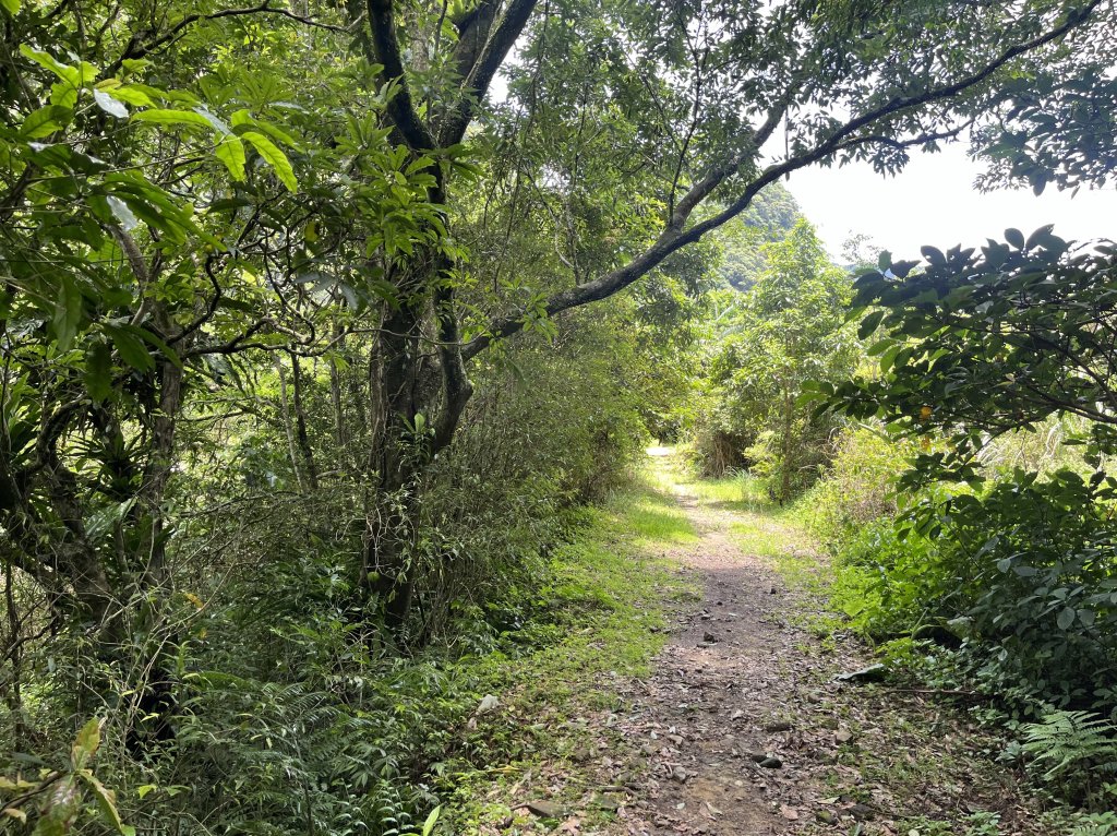 [淡蘭古道] 2024_0622 中路第五段-灣潭古道_2533976