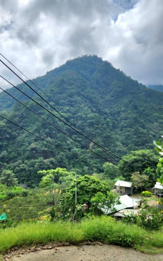 【中級山】隱藏版的大魔王，谷關第八雄，阿冷山，阿冷山前峰，阿冷山北峰_2745335