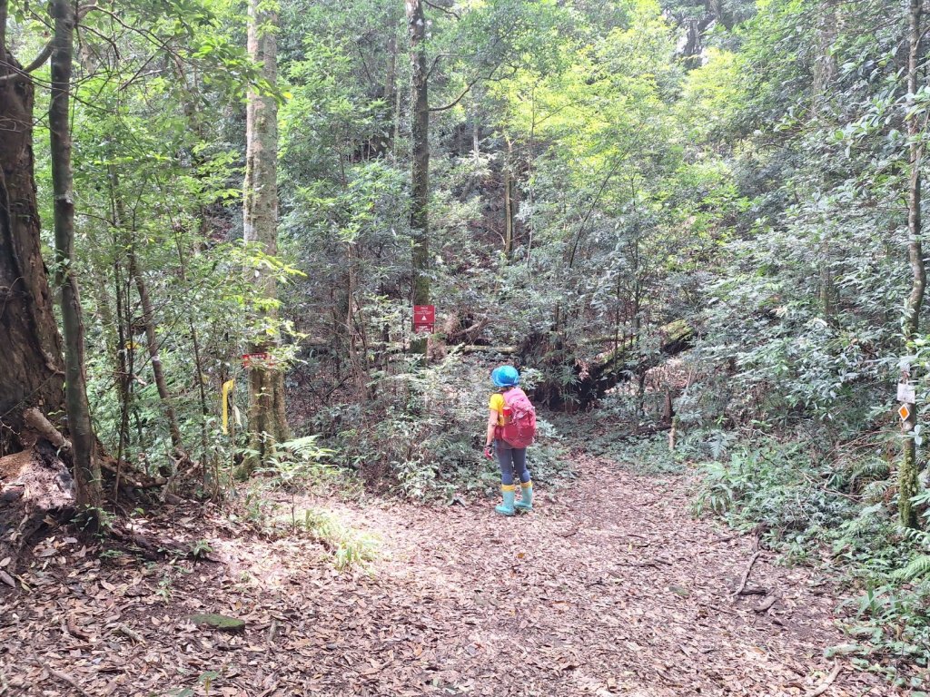 嘎色鬧上那結山_2575549