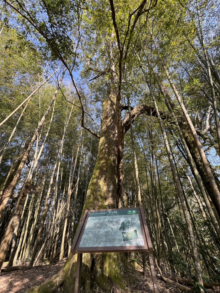 小百岳-石壁山_2742541