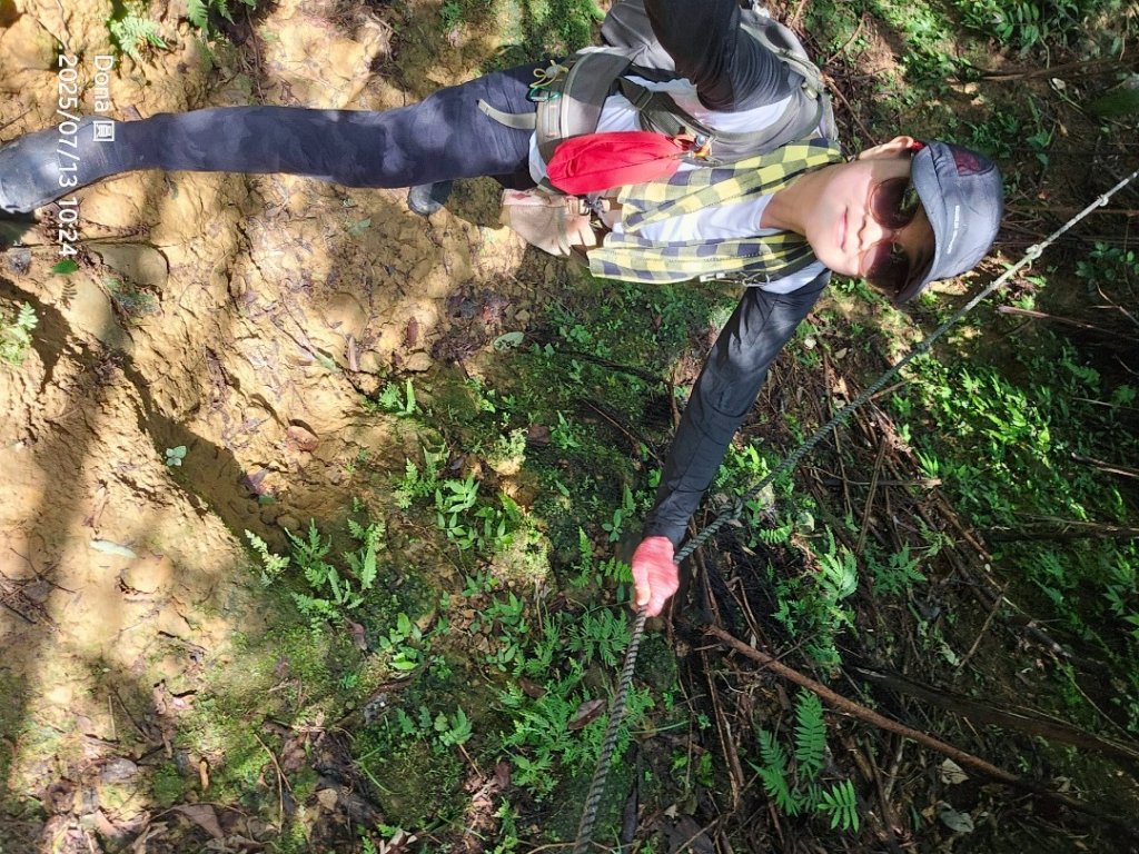 【菁桐】巡山東勢格古道全段加碼臭頭山_2848022