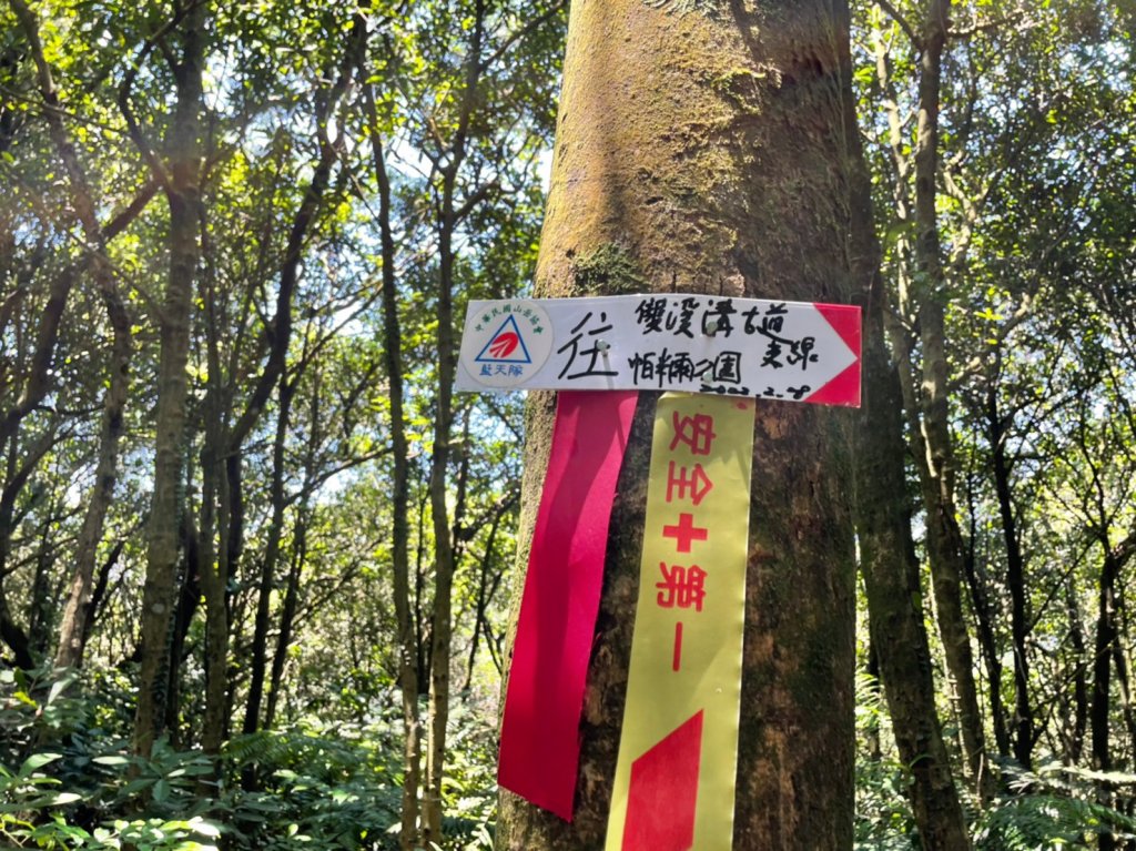 大邱田天然石壁洞_1776248