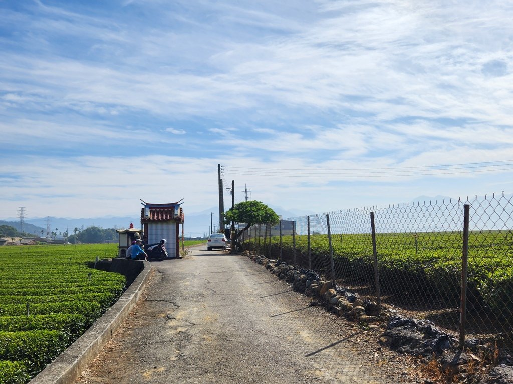 【彰化清水巖】十八彎古道連走擎天崗(中央嶺步道)_2038025