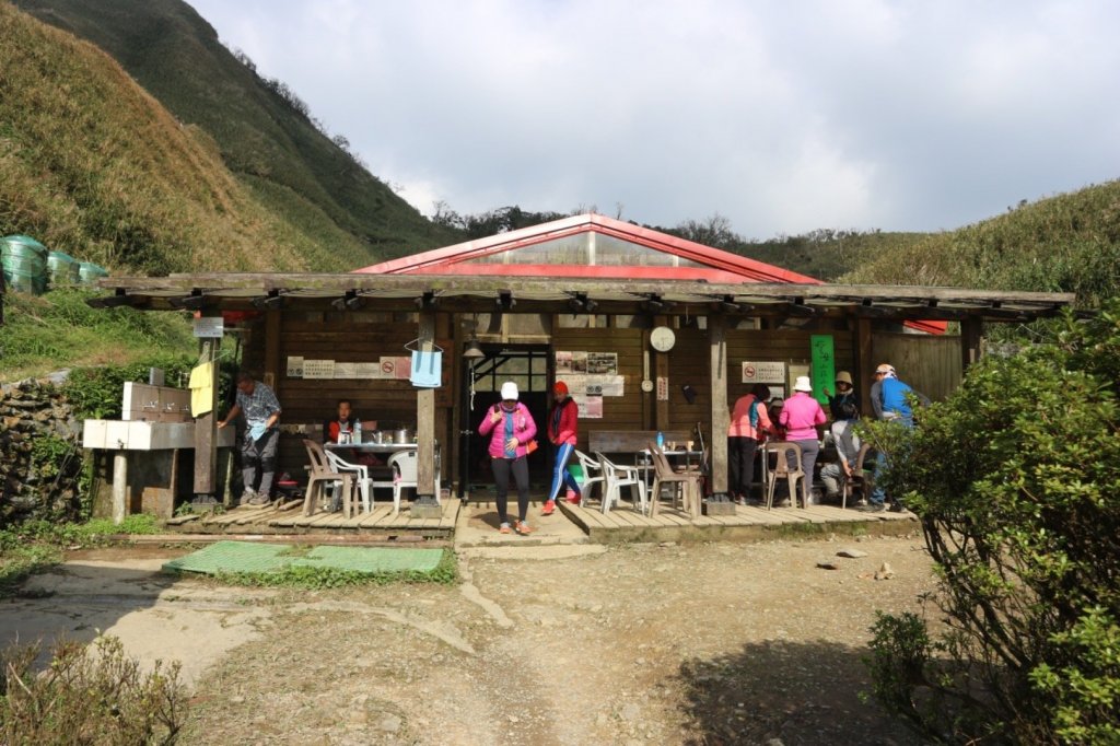 抹茶山上有草莓_447963