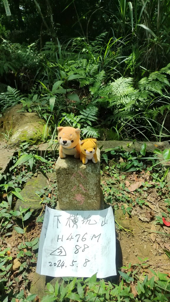 2024/05/08 飛沙縱走（石壁潭山-飛鳳山-沙坑山-二確山）_2510465