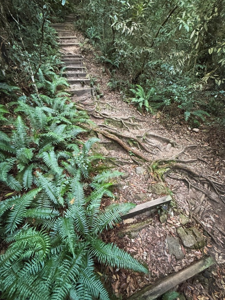 鳶嘴山上的瘦稜_2983865