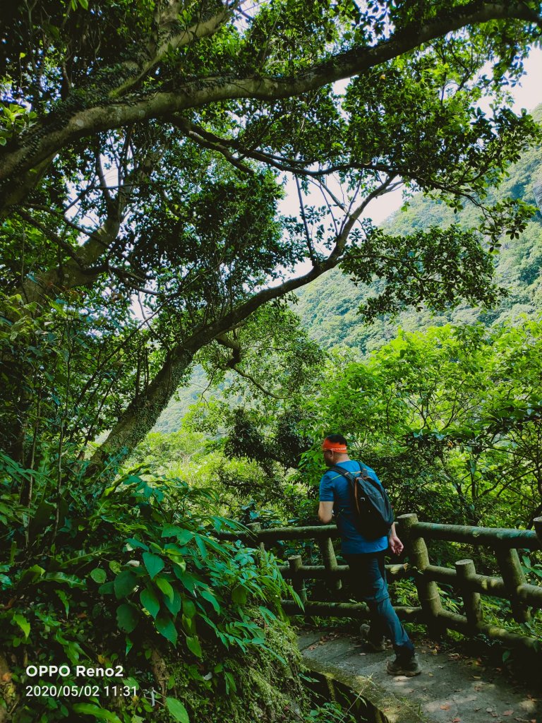 青山瀑布輕鬆走_945103