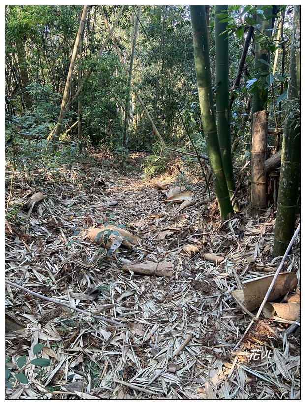 頭社山主峰及基點峰(社頭山)_2681601