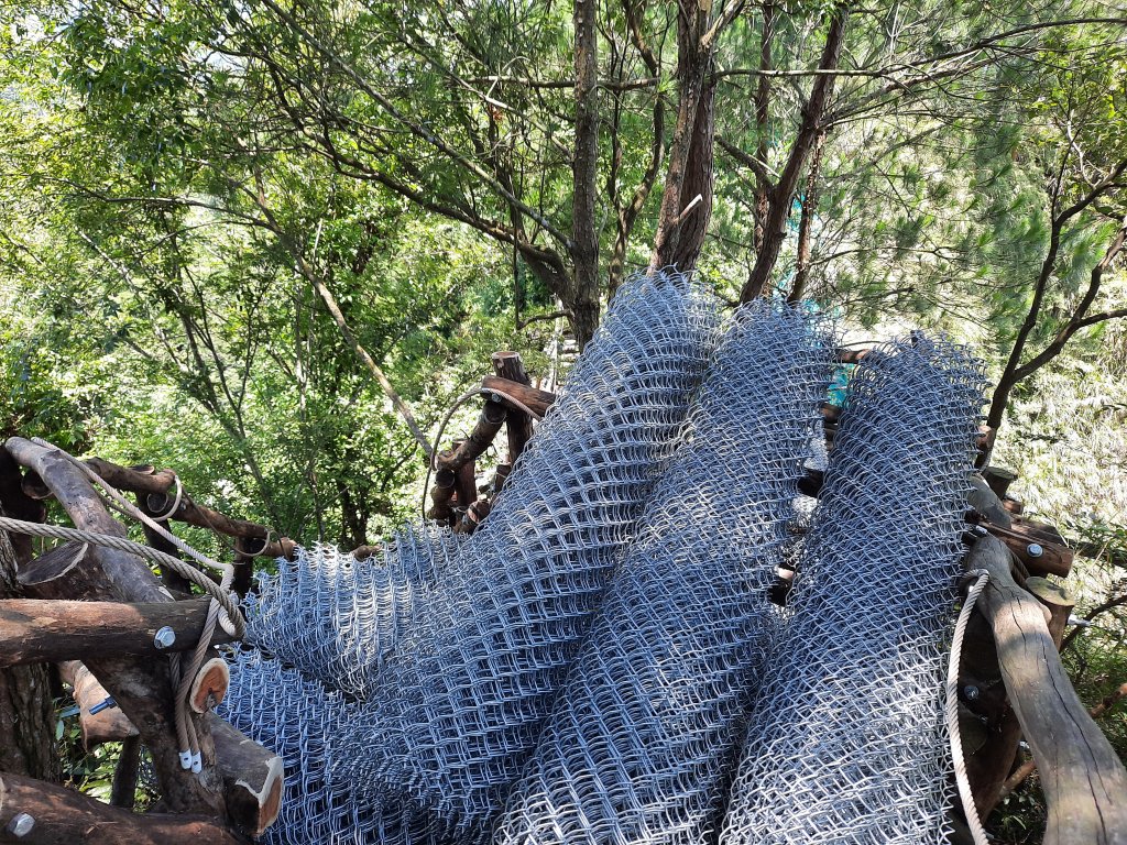 一日大坑_1030049