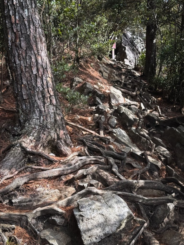 鳶嘴山上的瘦稜_2983876