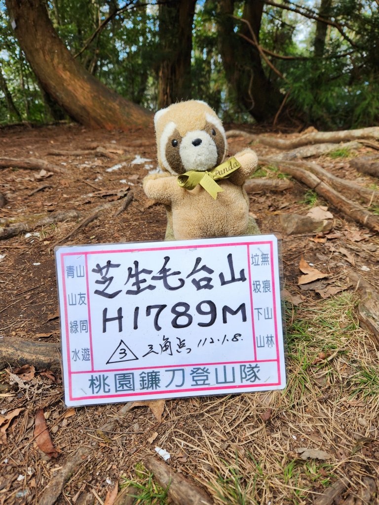 112/2/11芝生毛台山、屯野生炮台_2148119