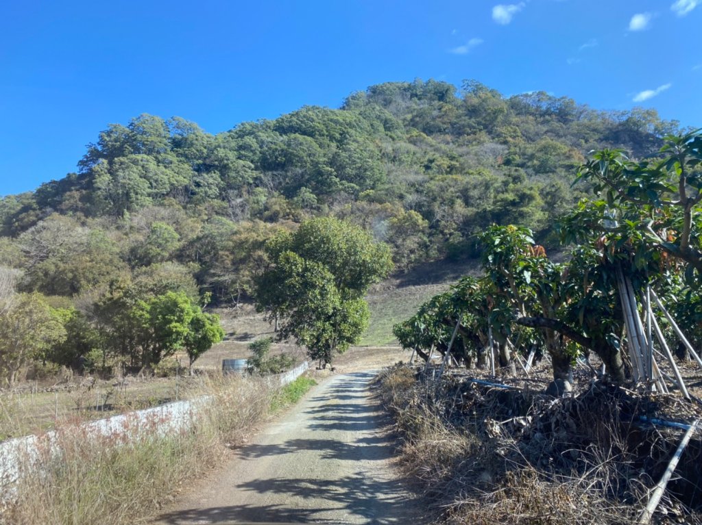 復興野溪溫泉【四輪驅動汽車的必要性】_2420000