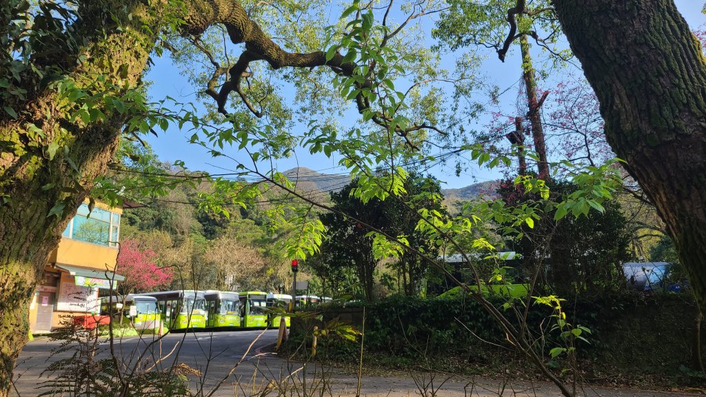 2023-0212 陽明山公車總站-紗帽山-天母古道-翠峰瀑布-猴洞古道-天母圓環_2027851