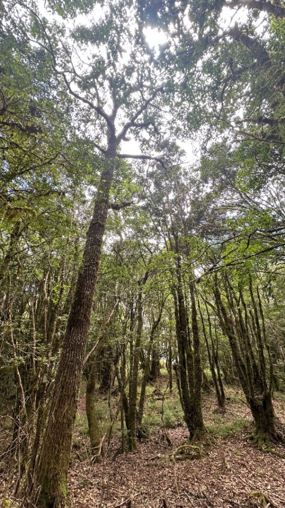 佐米縱走_2873420