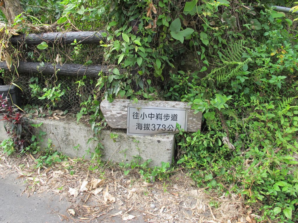 小中嵙登山步道封面圖