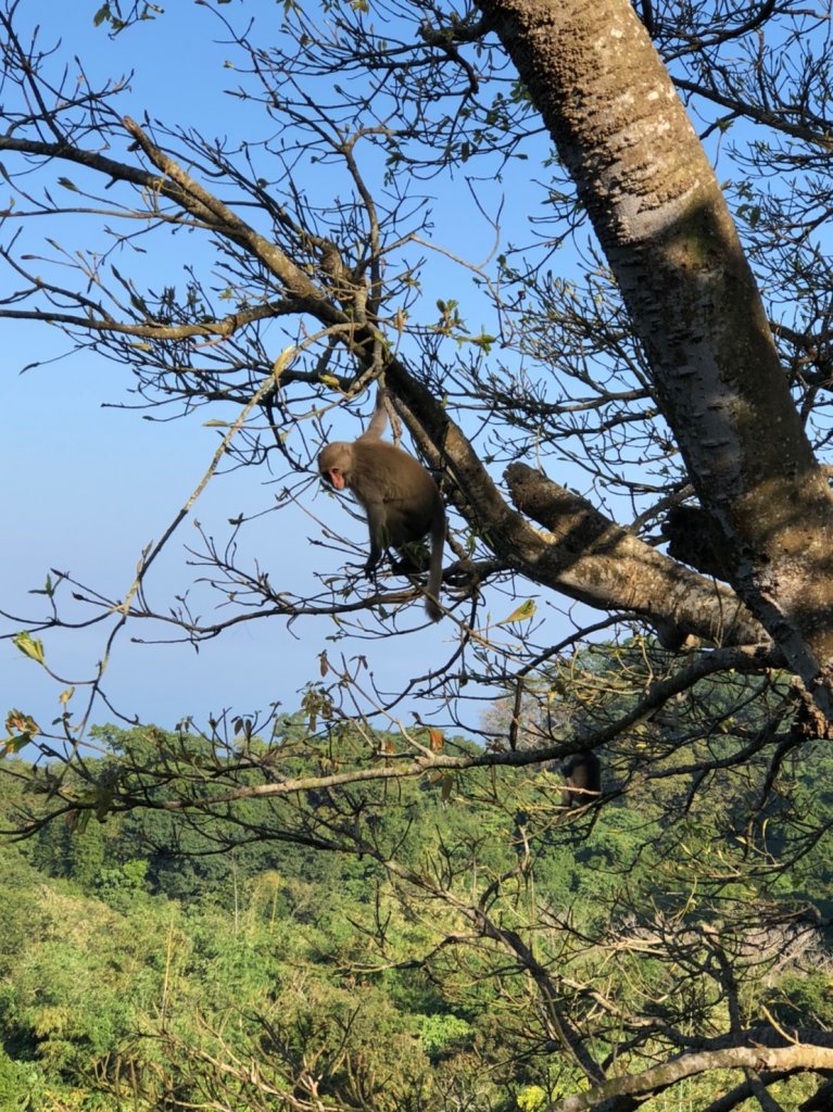 2019.11.17柴山練體力_743983