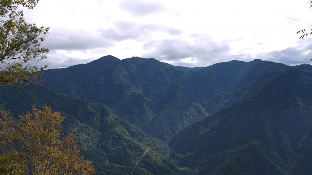 虎山登山健行趣(中級山)_1516923
