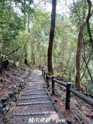 【台中和平】山林靜謐時光。 捎來步道_2989227