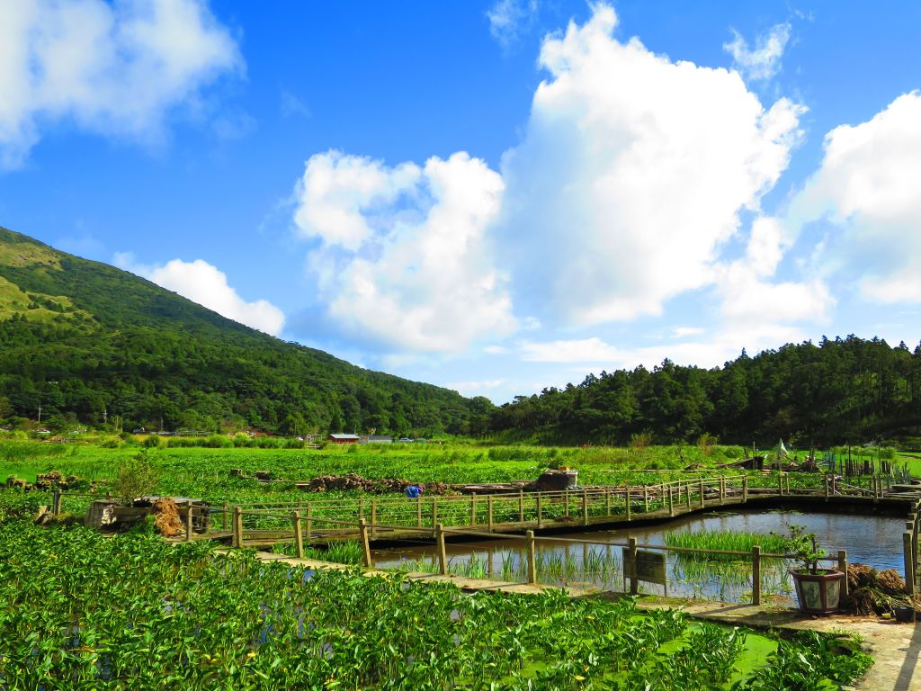 【心靈療癒】陽明山頂湖環狀步道_182864