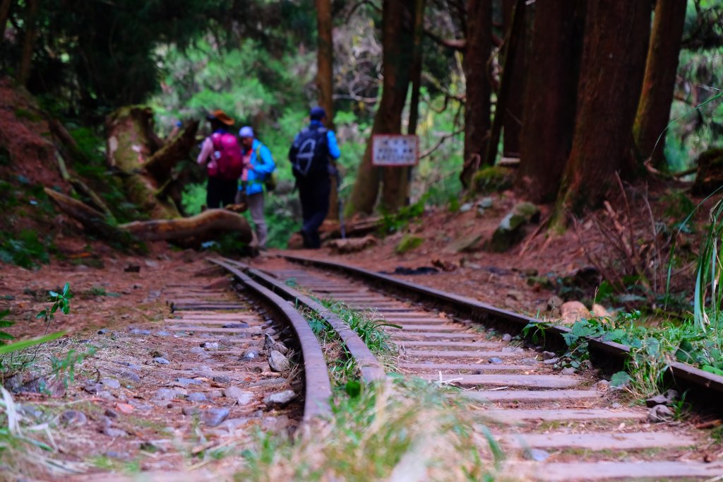 消失的眠月線_871949