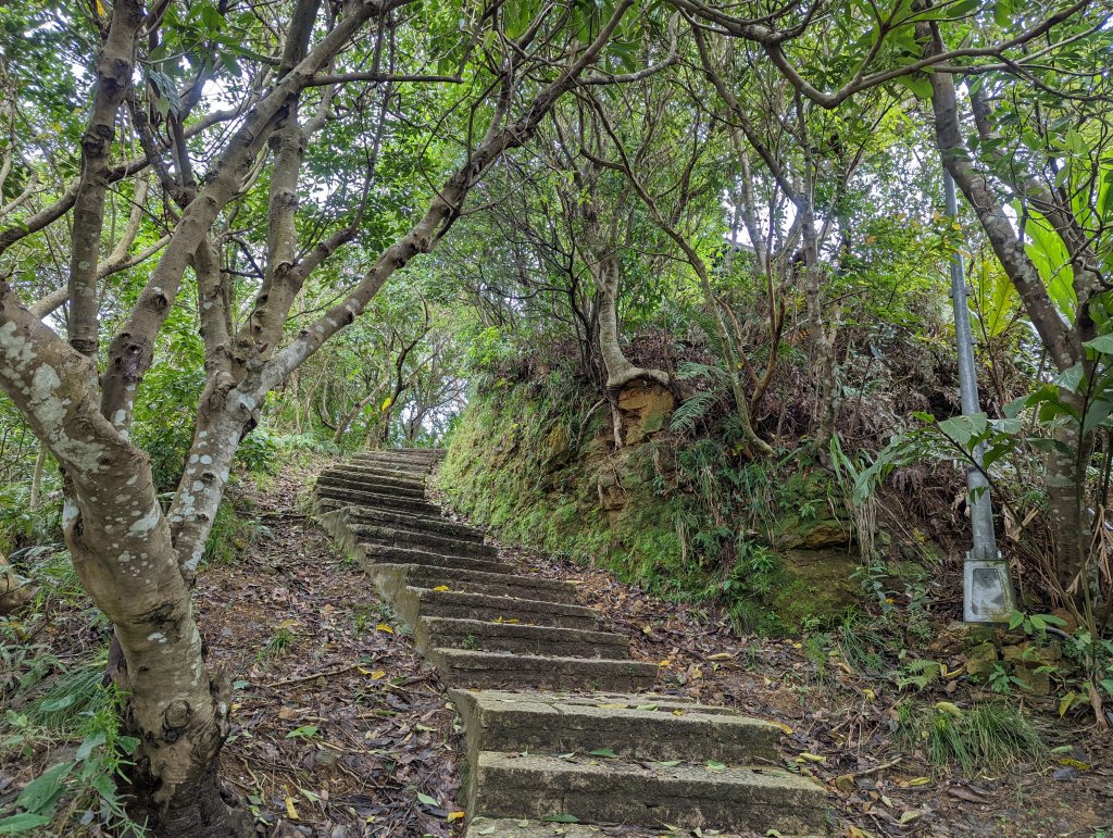 四獸山步道：虎山、豹山、獅山、象山_1618632