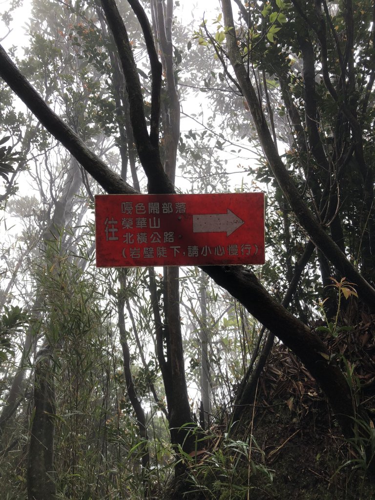 2018.04.07復興三尖-那結山_1005339