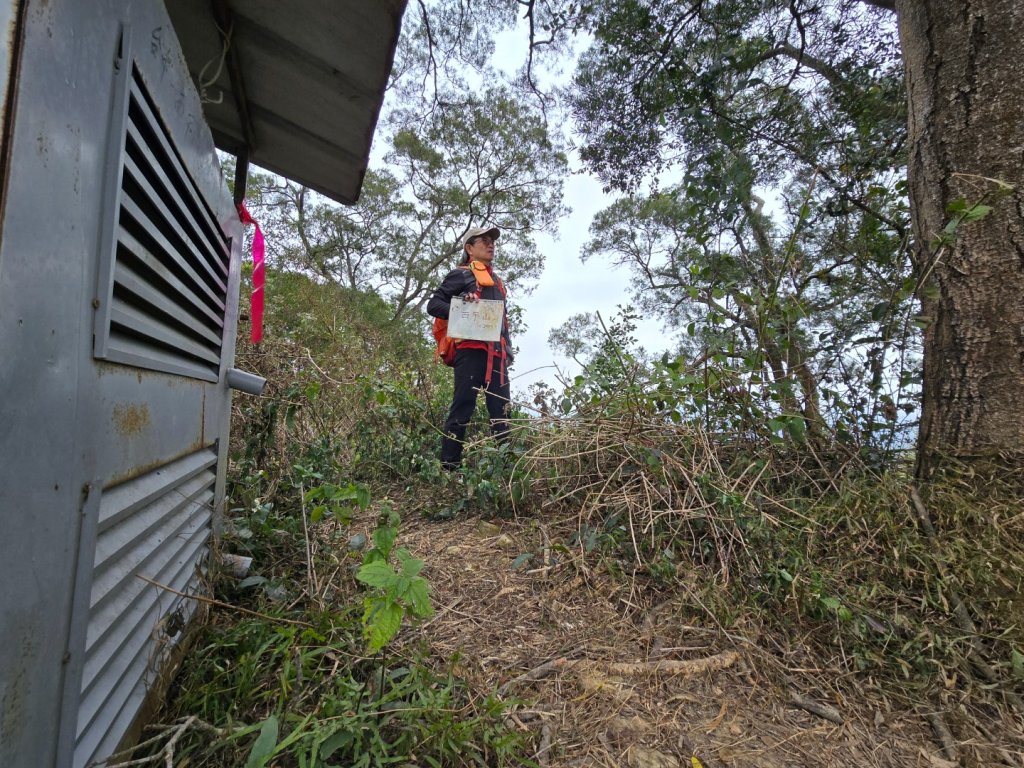 台中大坑9號／9之1／6號／7號O繞3連峰（西平山／平和山／大山母山）封面圖