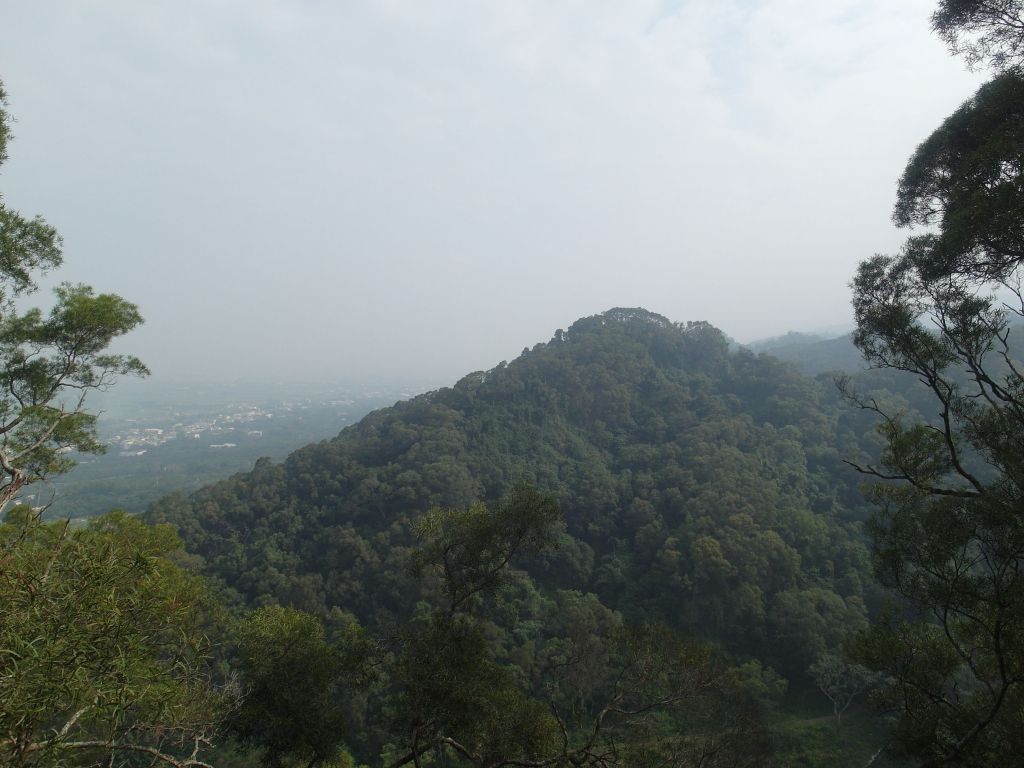 社頭清水岩二棧坪(封閉)麒麟山田中步道_131784