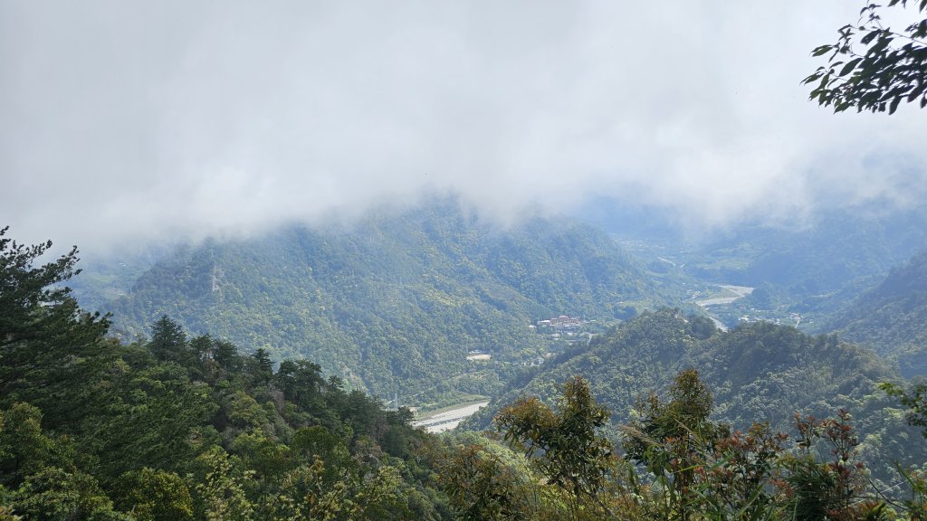 【美美兔走山趣】谷關抓雄-老六白毛_2749950