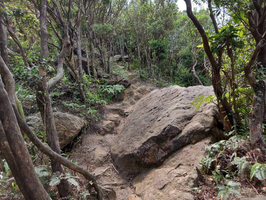 如意湖-金明山-柯子林山_1706686