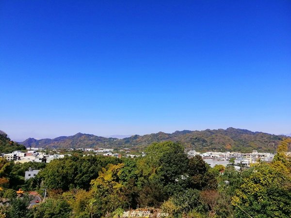 台中~漸層落羽松繽紛山行路~挑物古道 _1246810