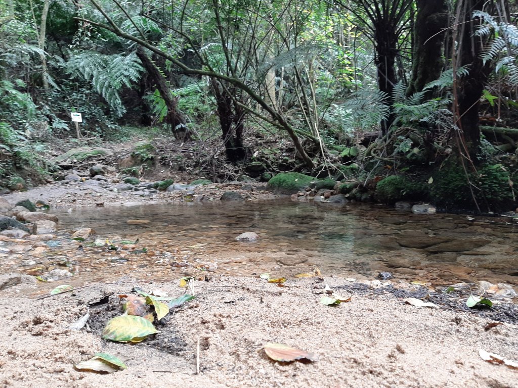 臺北大縱走4：聖人橋至大湖公園_778041